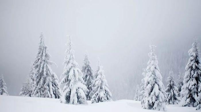 Will it snow on Christmas Day? Met office outlook points to colder trend