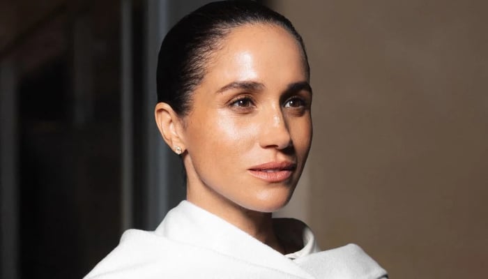 Meghan Markle finally reacts to shocking claims: highly defamatory