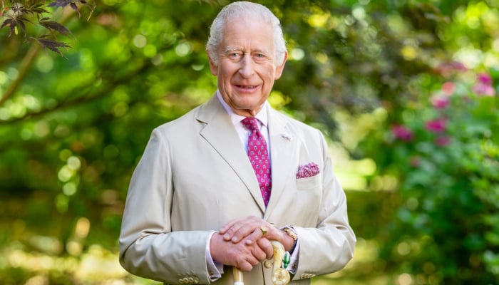 King Charles excites fans with special Christmas update amid family woes