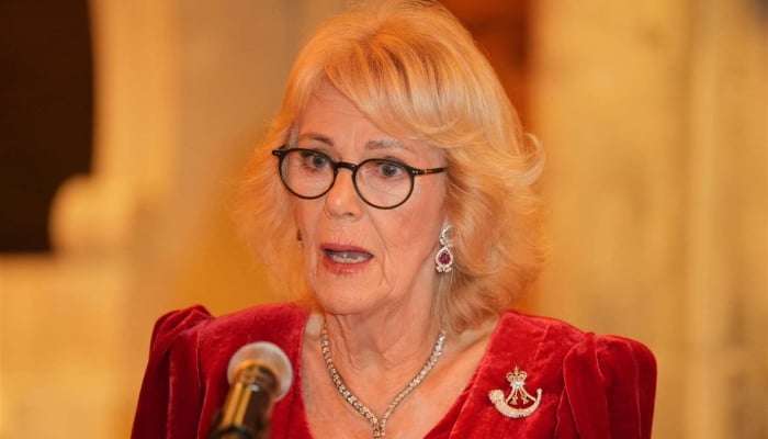 Queen Camilla makes urgent plea in powerful speech amid conflict