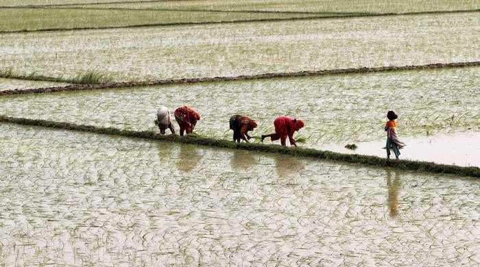 Beyond banking, sowing change