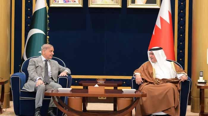 PM Shehbaz arrives in Bahrain on two-day visit