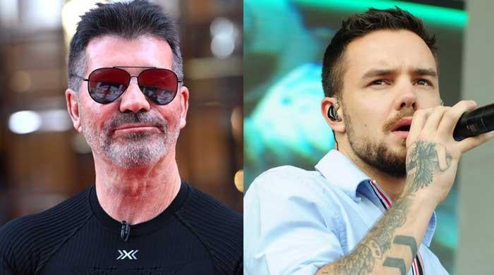 Did Simon Cowell 'demotivate' Liam Payne about music career?