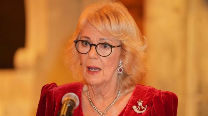 Queen Camilla makes urgent plea in key speech after King Charles meeting