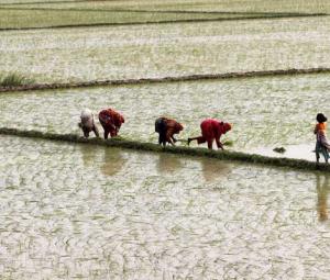 Beyond banking, sowing change