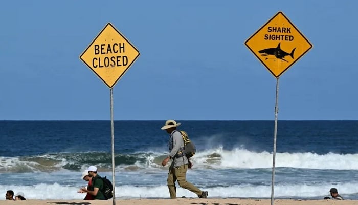 Beachgoers walk past signs reading Shark Sighted and Beach Closed on an Australian beach in this undated photo. — AFP/File