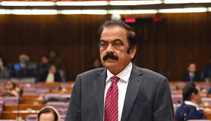 PML-N leader Rana Sanaullah speaks in the National Assembly session on December 17, 2024. — X/@NAofPakistan