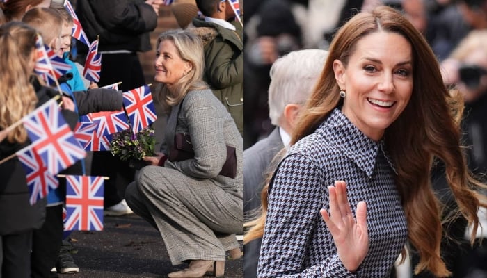 Duchess Sophie receives honour as she echoes Princess Kates thoughts