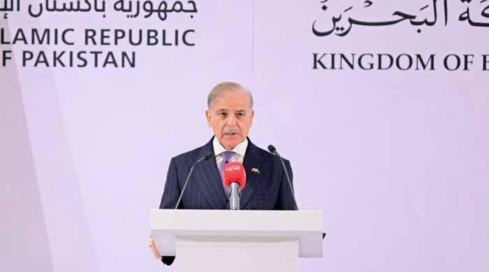 Pakistan-GCC free trade agreement in final stages, says PM Shehbaz