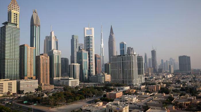 UAE not issuing visas to Pakistanis, Senate panel told