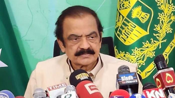 Rana Sanaullah blames 'past establishment' for destruction in Pakistan