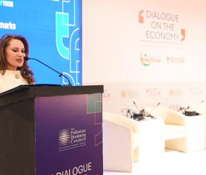 Economic growth impossible sans tax reforms: Dr Zeelaf Munir