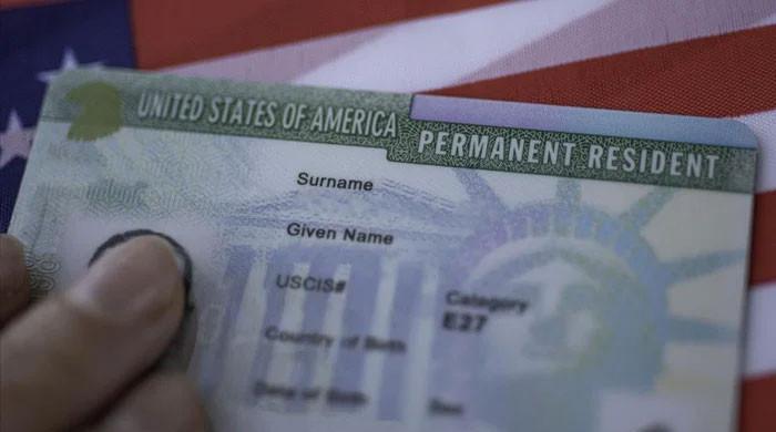 Which 19 countries under US review for Green Card?