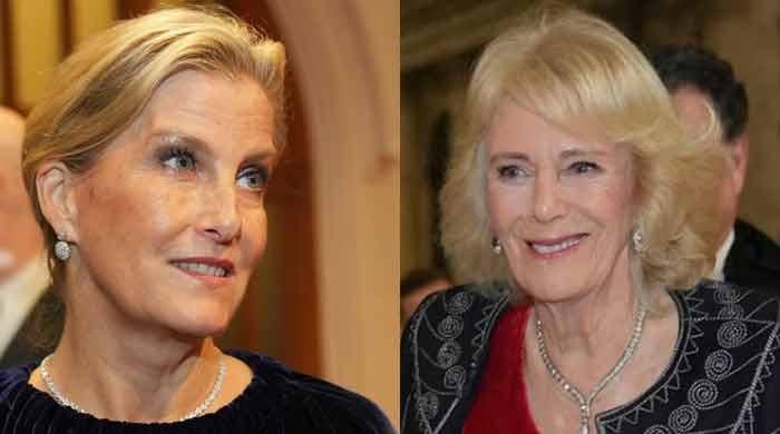 Queen Camilla, Duchess Sophie show royal power, glamour at London awards