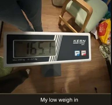 Katie Price shares health update about son Harvey