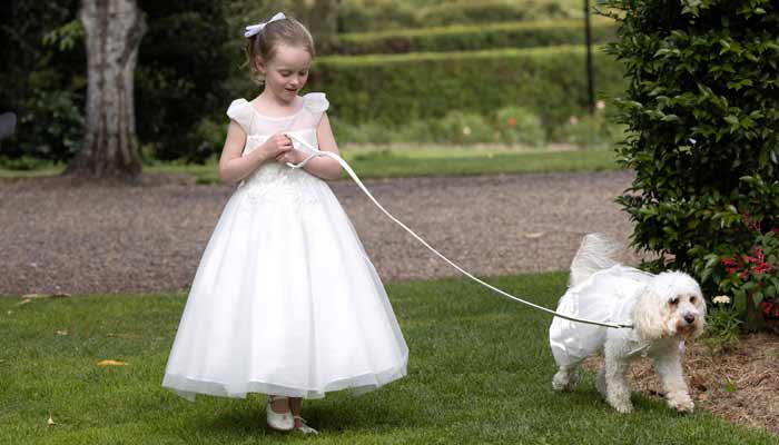 Ella, a flower girl, can be seen walking the dog and ring bearer named Toto, during the wedding ceremony for Australia’s Prime Minister Anthony Albanese and his new wife Jodie Haydon in Canberra on November 29, 2025. — AFP