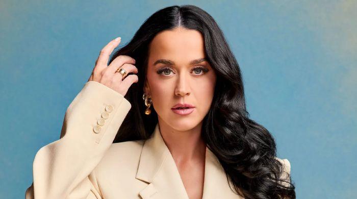 Katy Perry channels Thanksgiving in festive outfit