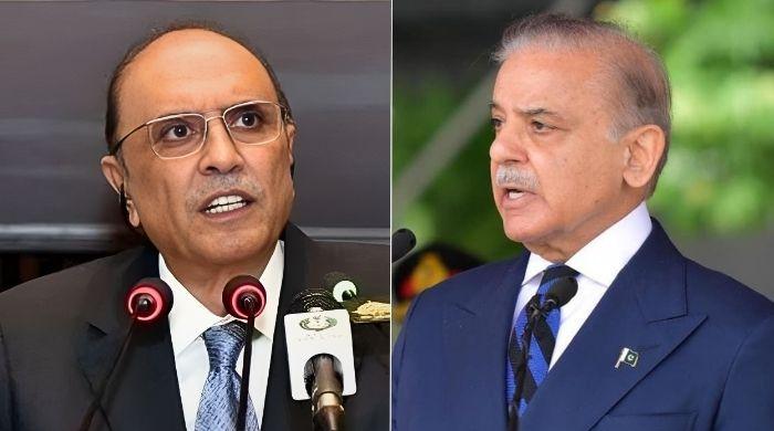 Pakistan reaffirms support for Palestinian self-determination on solidarity day