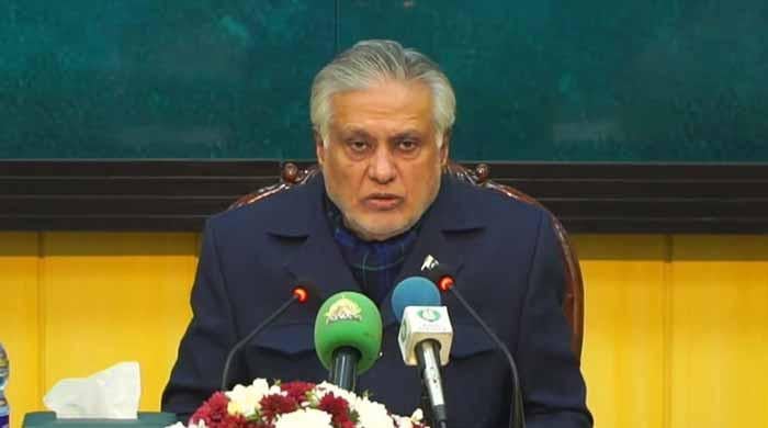 'Not enough,' DPM Dar says Afghan Taliban jailed hundreds of TTP militants