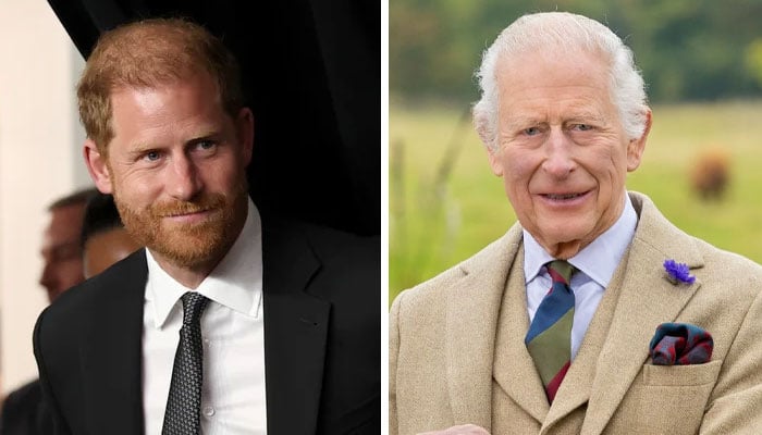Prince Harry receives strict orders on next meeting with King Charles