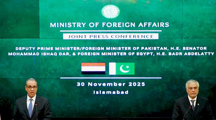 Pakistan to share Egypt list of 250 firms to boost trade ties: Dar