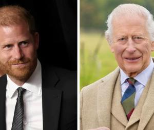 Prince Harry receives strict orders on next meeting with King Charles