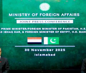 Pakistan, Egypt move to boost trade with 250-firm white list