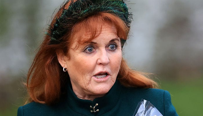 Sarah Ferguson receives brutal reality check amid ambitious plans