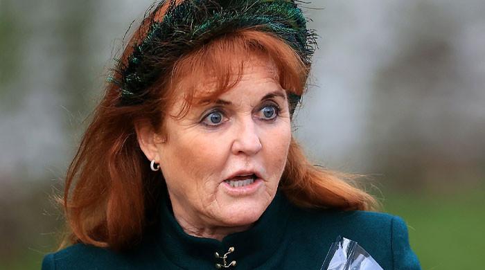Sarah Ferguson receives brutal reality check amid ambitious plans