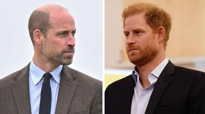 Prince William, Prince Harry set for public face-off after years of rift