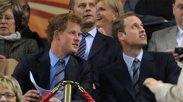 Prince William agrees to meet Prince Harry in America