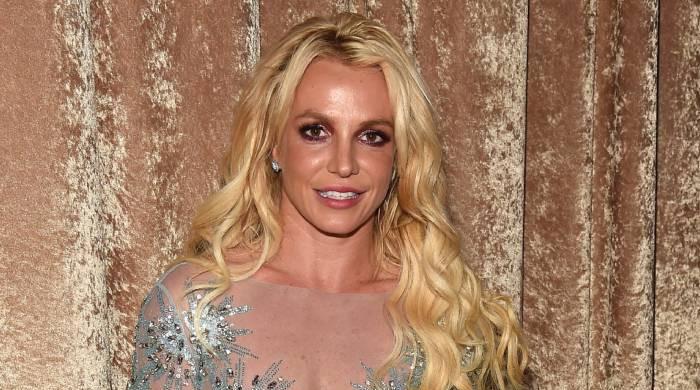 Britney Spears expected to spend Christmas alone despite sons' reunion