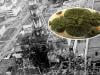 Chernobyl fungus feeding on nuclear radiation offers unique opportunity for humans
