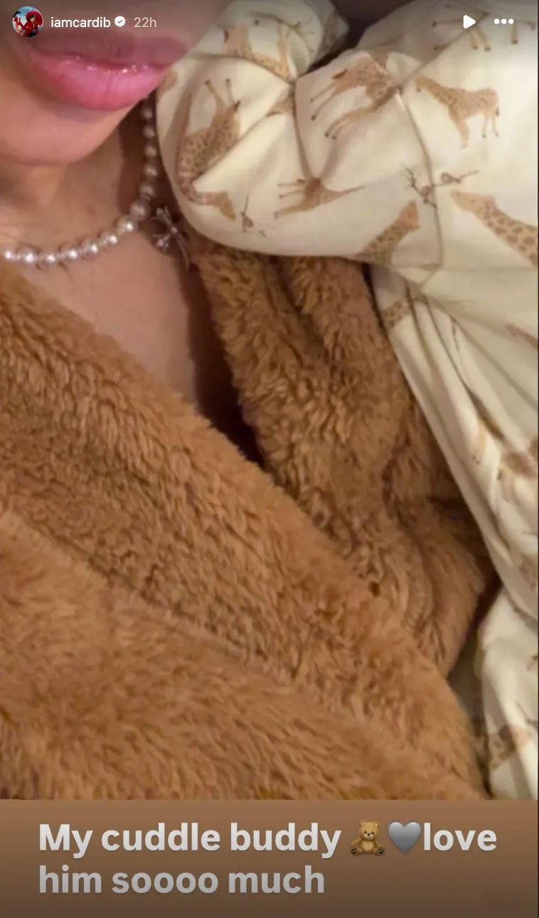 Cardi B shares adorable photo with new favourite cuddle buddy
