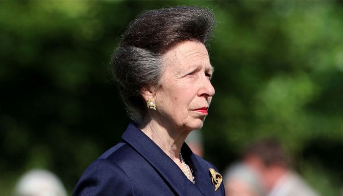 Princess Anne spared as senior royals face crucial investigation
