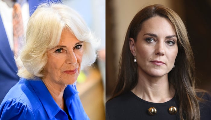 Queen Camilla secures key title from Princess Kate amid tensions