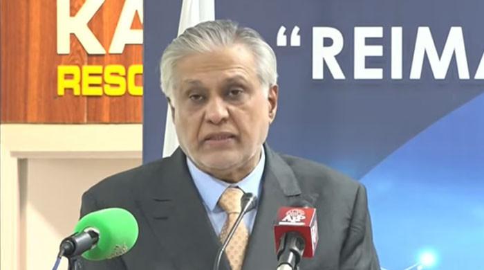 Lasting peace in South Asia requires more than strategic stability: DPM Dar