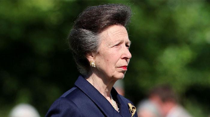 Princess Anne spared as senior royals face crucial investigation