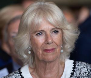Queen Camilla makes big change in royal team after losing close ally