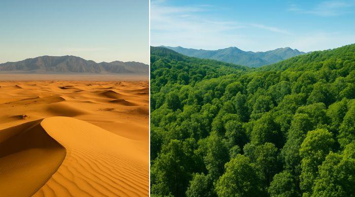 China's regreening efforts activate water cycle but with hidden cost