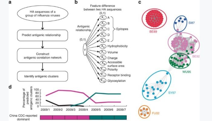 A/H3N2 variant explained: What to know about symptoms, spread, vaccine