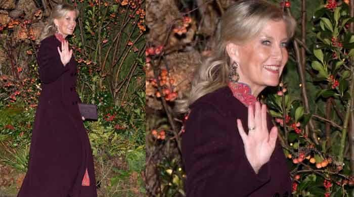 Duchess Sophie's Christmas glamour steals limelight at Kate's show