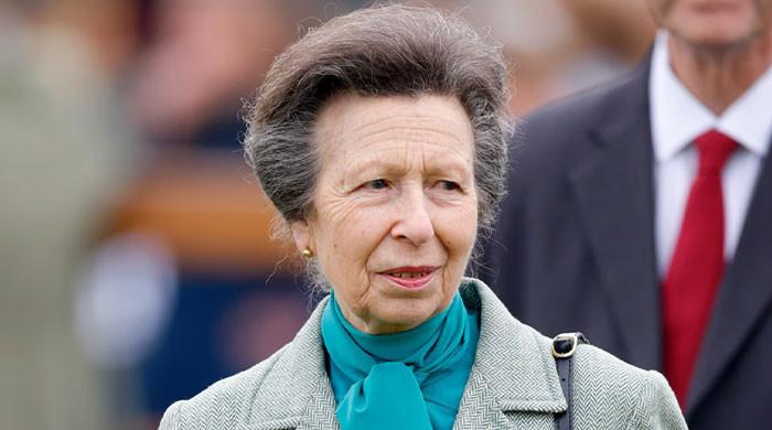 Princess Anne quietly performs crucial task for King amid new probe
