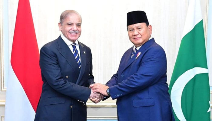 Prime Minister Shehbaz Sharif meets with President of Indonesia HE Prabowo Subianto on the sidelines of D-8 Summit on December 19, 2024. — APP