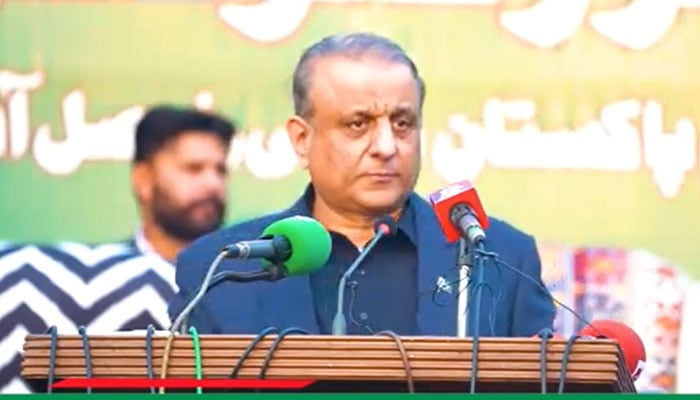 Federal Minister for Communications Abdul Aleem Khan addresses workers’ convention of Istehkam-e-Pakistan Party in Sheikhupura on December 7, 2025. — YouTube/Geo News/screengrab