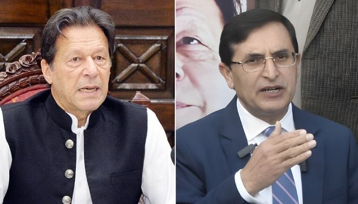 PTI founder Imran Khan (left) and and PTI Chairman Barrister Gohar Ali Khan. — NNI/Online