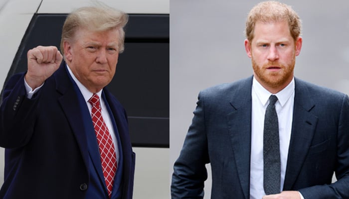 Prince Harrys daring dig may spark fury in White House