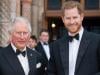 King Charles celebrates in new message after Prince Harry legal win 