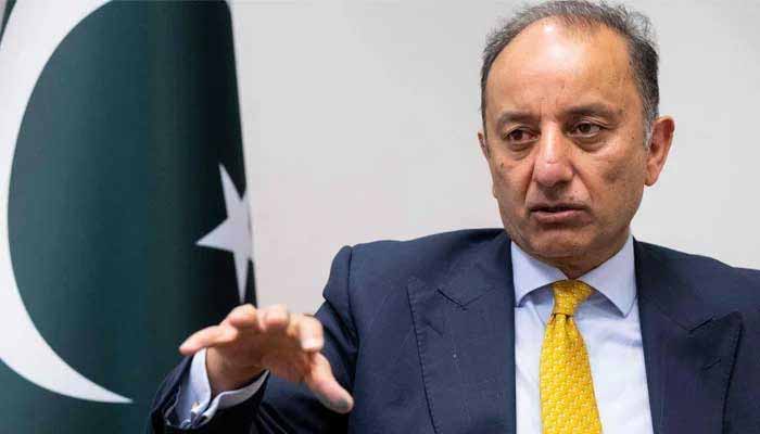 Federal Minister for Climate Change and Environmental Coordination Musadik Malik gestures as he speaks to reporters in this undated photo. — AFP/File