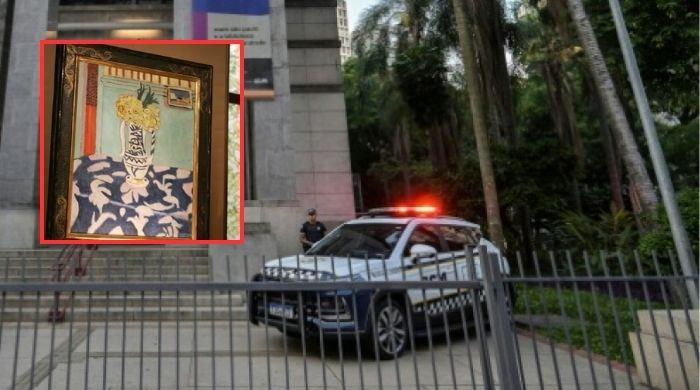 Armed thieves steal 13 million-dollar artworks from Brazilian library
